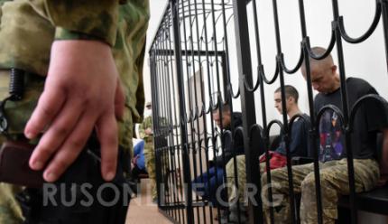 Закон Есть Закон Фото