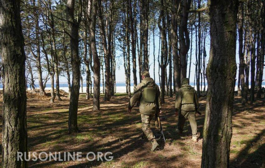 Зачем Киев нацелился на Брянск Страшные находки раскрыли планы нацистов  Русские Онлайн